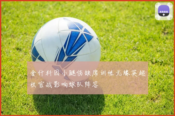 舍什科因小腿伤缺席训练无缘英超收官战影响球队阵容