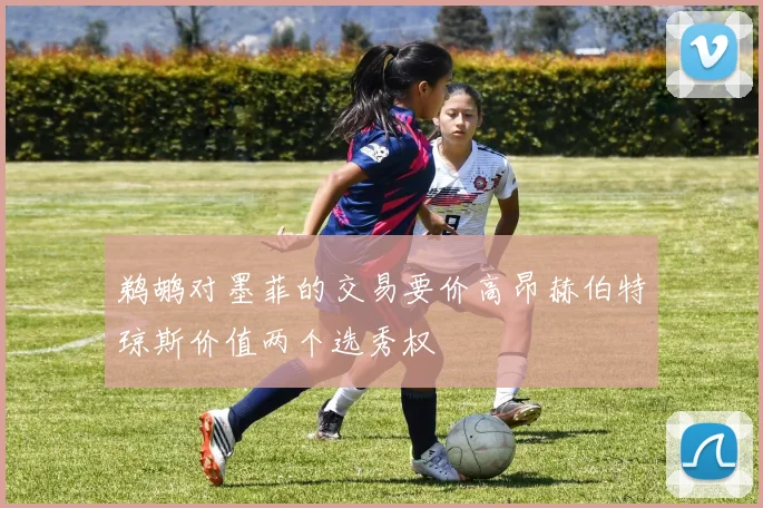 鹈鹕对墨菲的交易要价高昂赫伯特琼斯价值两个选秀权