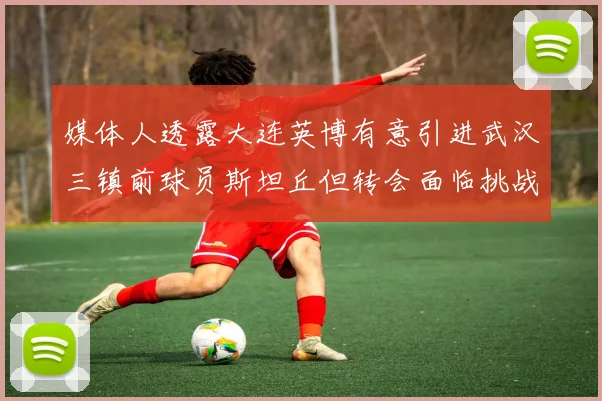 媒体人透露大连英博有意引进武汉三镇前球员斯坦丘但转会面临挑战